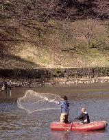Gov't begins netting nonnative fish from imperial moat